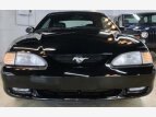 Thumbnail Photo 0 for 1996 Ford Mustang Convertible